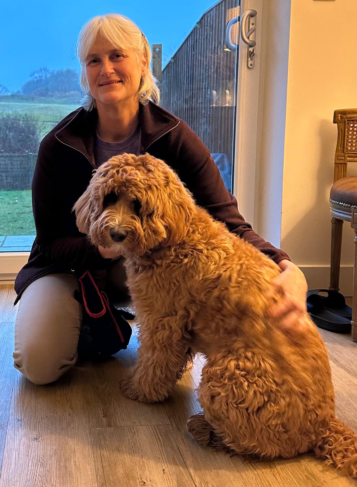 Dog getting trimmed
