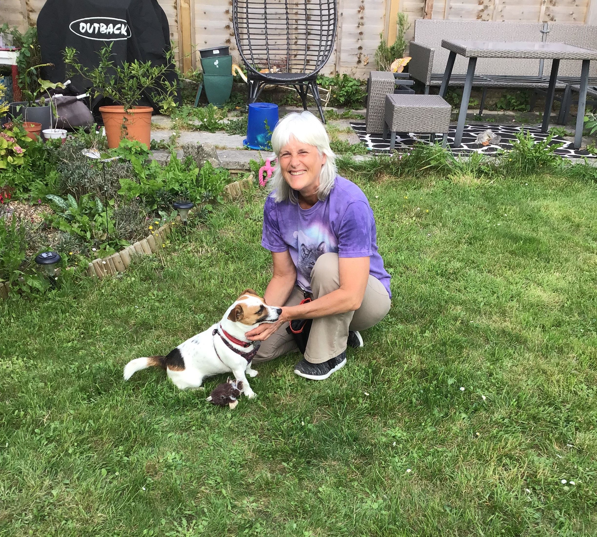 Dog getting trimmed